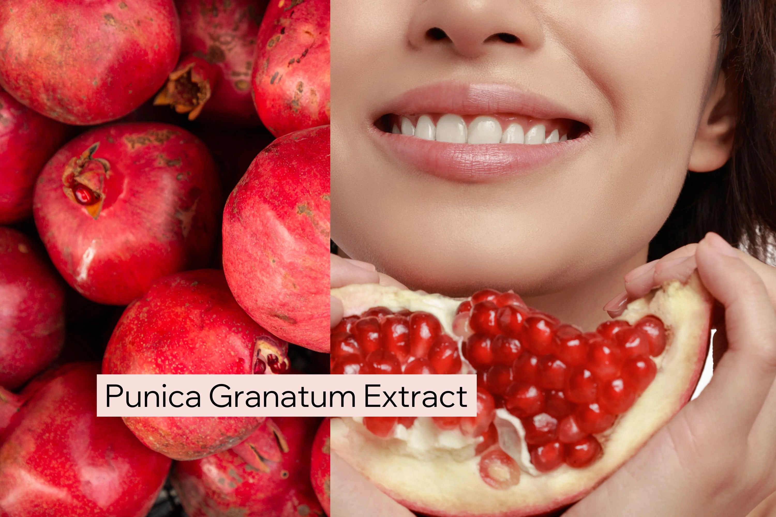 Punica Granatum Extract - Khi lựu đỏ không chỉ là một loại trái cây