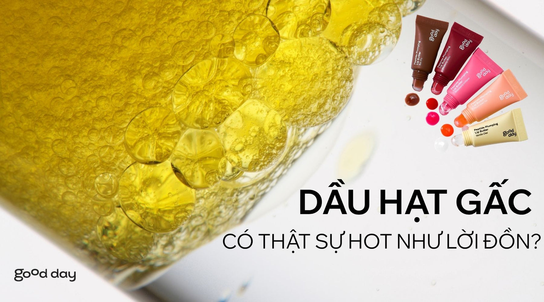 DẦU HẠT GẤC CÓ THẬT SỰ HOT NHƯ LỜI ĐỒN? CÙNG GOOD DAY KHÁM PHÁ THÀNH PHẦN NÀY NHÉ